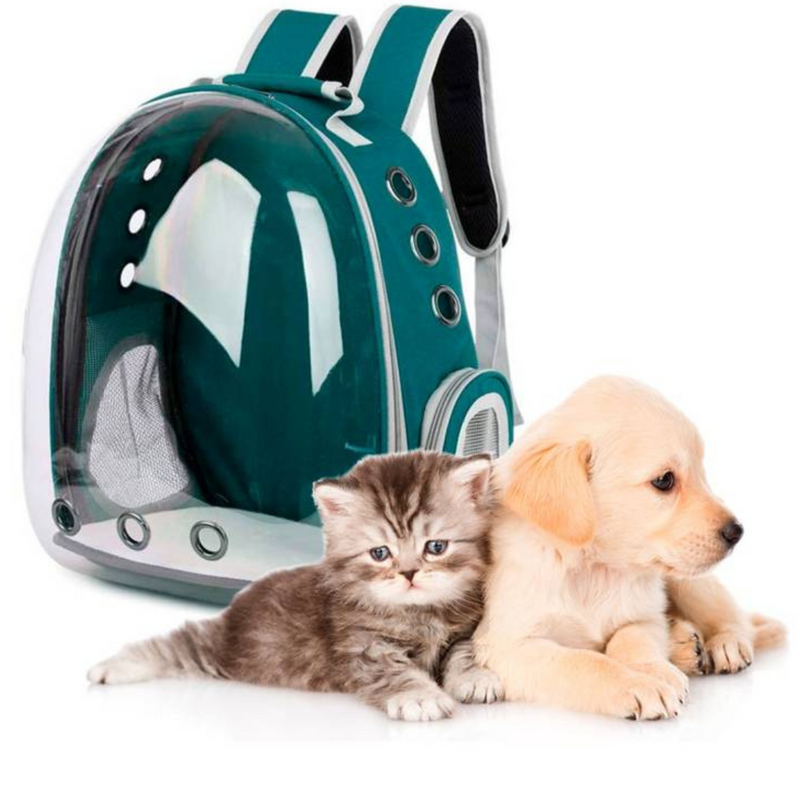 Mochila Pet Transporte Cães Gato Visão Verde