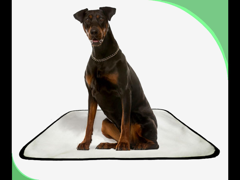 Tapete Canino Pet Estratégico em oferta 1 un G 90x100cm