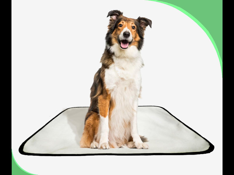 Tapete Canino Pet Estratégico em oferta 5 un M 60x80 cm